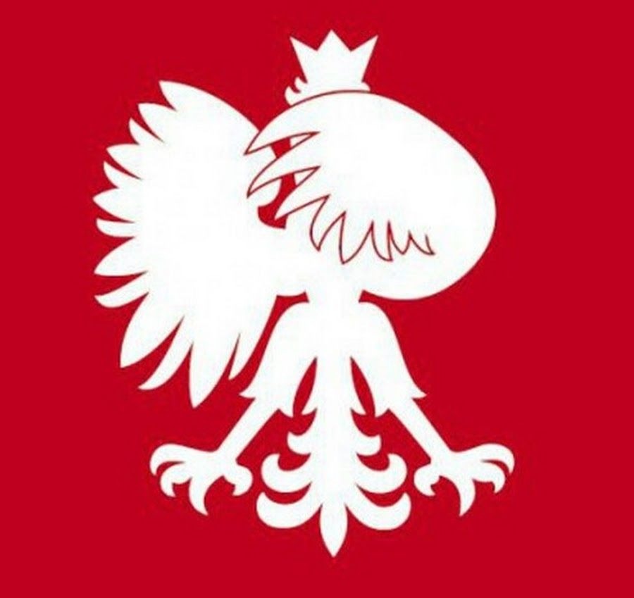 Gryf profile picture